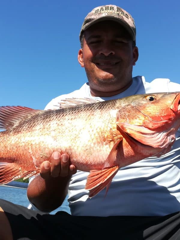 Red Snapper Panama