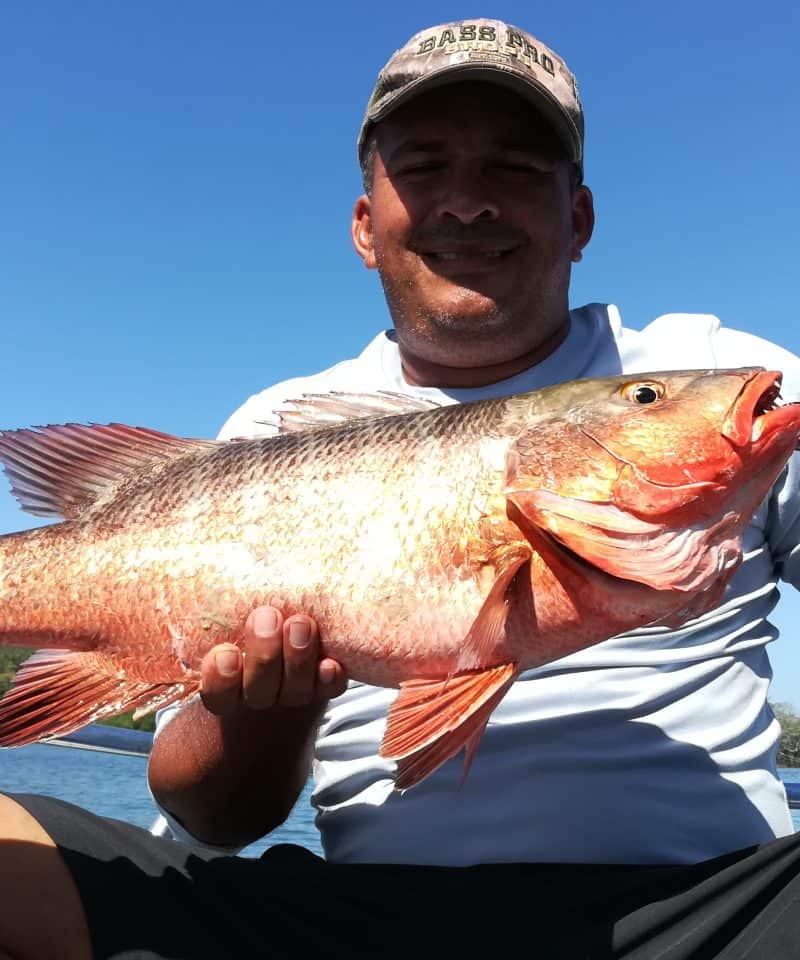 Red Snapper Panama