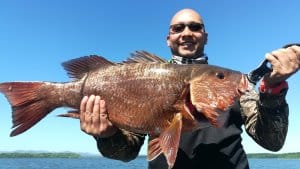 Pesca de pargo rojo en Mutis, Golfo de Montijo
