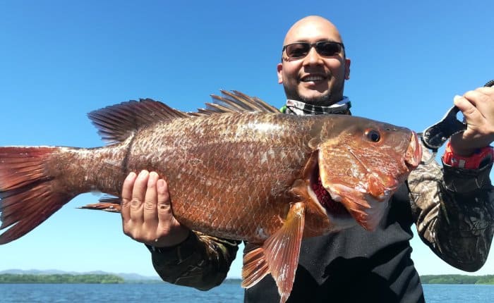 Pesca de pargo rojo en Mutis, Golfo de Montijo