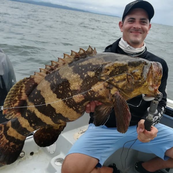 Pesca de mero en el Golfo de Montijo