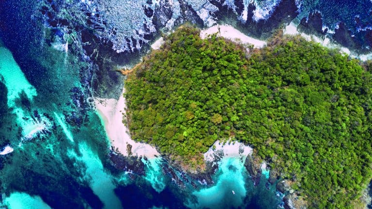 Isla Tintorera, Cébaco