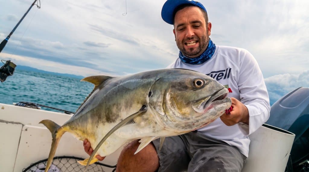 Pacific crevalle jack caught in the Gulf of Montijo near Puerto Mutis