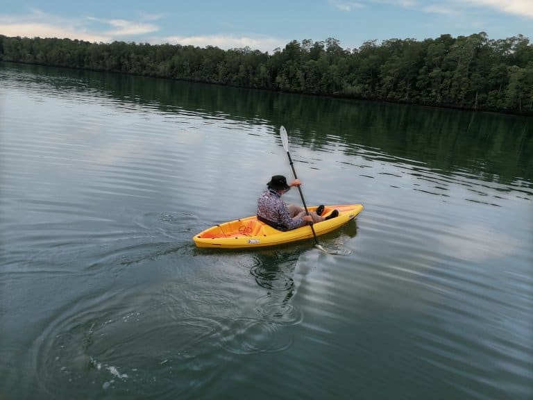 Kayak en el manglar del Golfo de Montijo