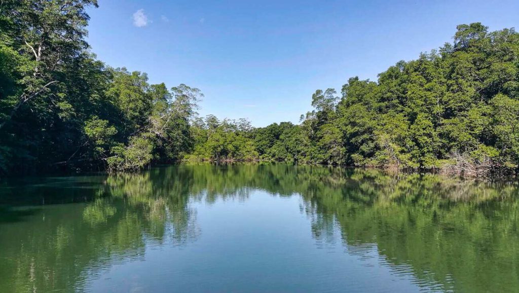 Calm mangrove channel of the Gulf of Montijo