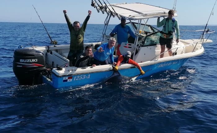 Fishing Marlin in Hannibal Bank