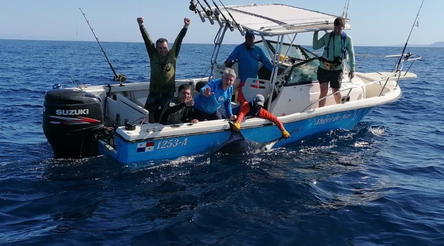 Fishing Marlin in Hannibal Bank