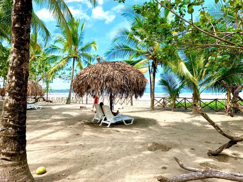 Oasis Surf Camp on Playa El Estero, Santa Catalina