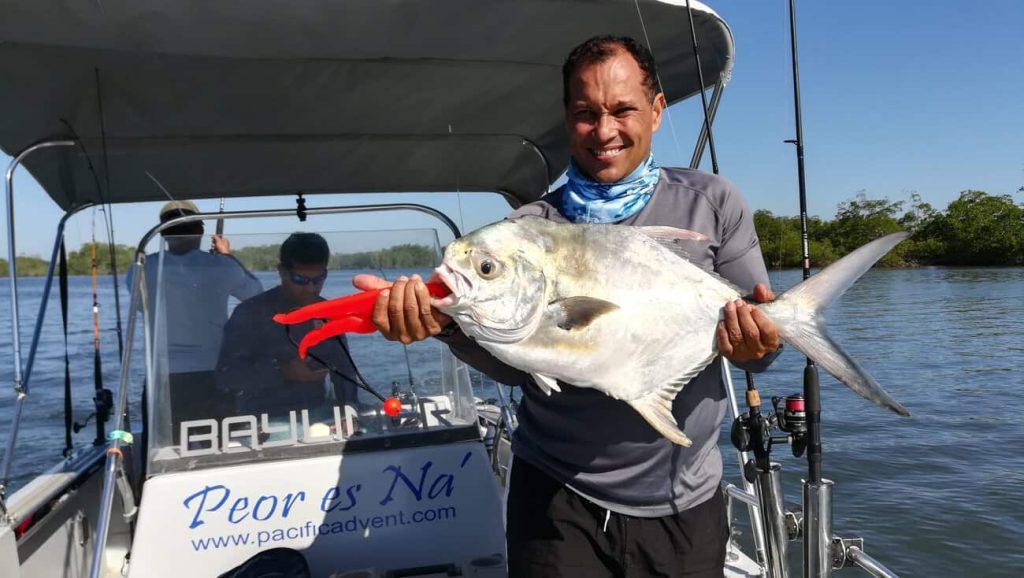 Pompano from the Gulf of Montijo estuary