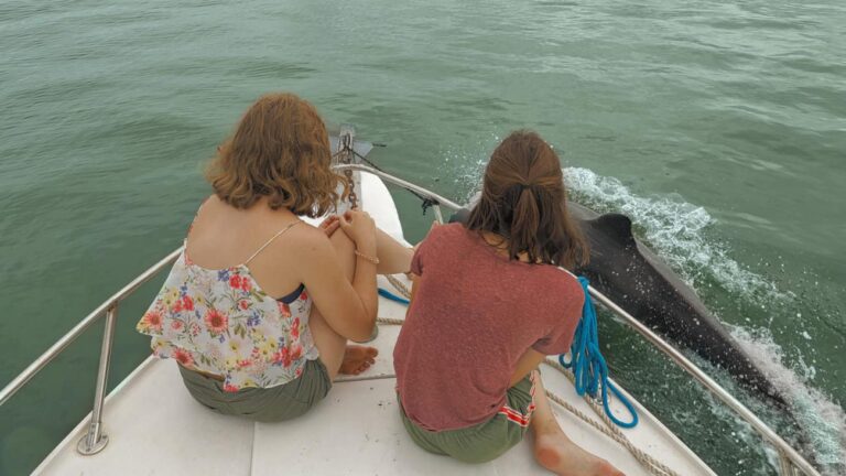 Panama, Dolphin Photo Safari