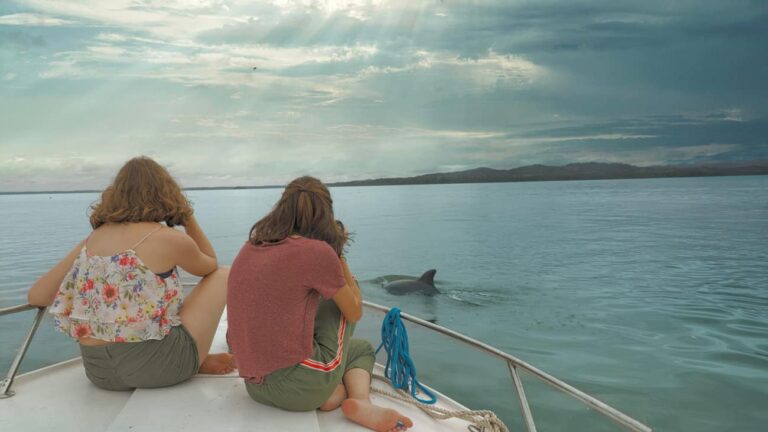 Panama Dolphin Watching Photo: FSA Productions
