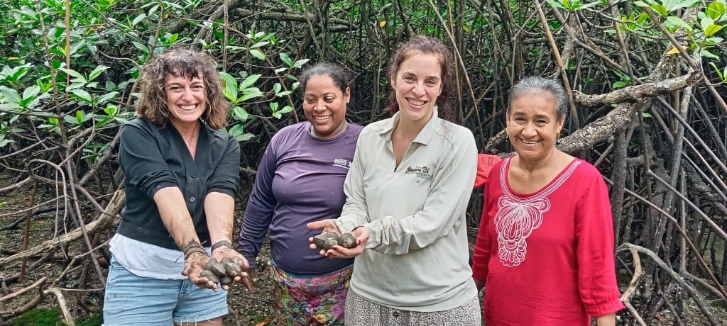 Visitors with Las Aventureras holding black clams in the mangroves of Isla Leones
