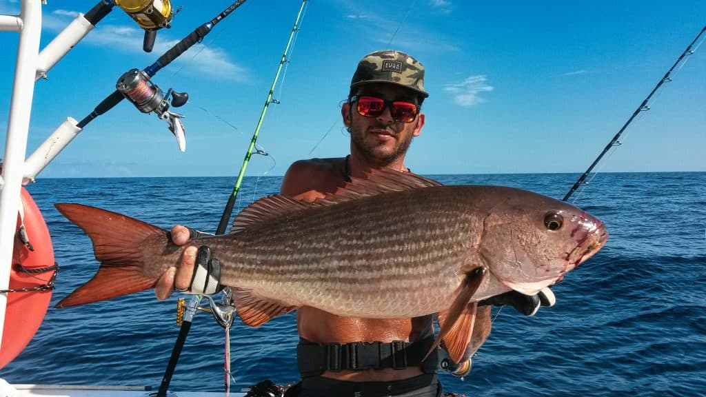 Pargo rojo capturado en Jicarita y Jicarón, Parque Nacional Coiba, Panamá