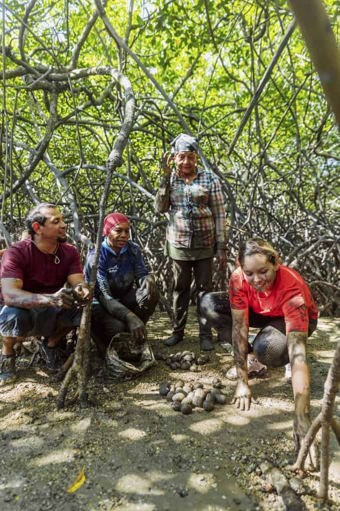 Las Aventureras teaching visitors to harvest black clams in the Gulf of Montijo