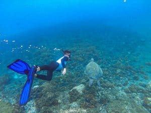 Snorkeling - Sea Turtles Experience in Coiba