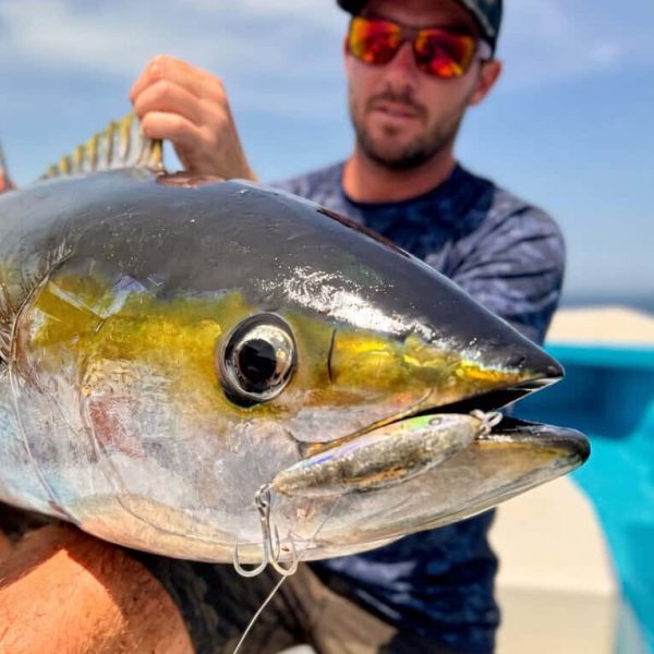Yellowfin Tuna Closeup Jig