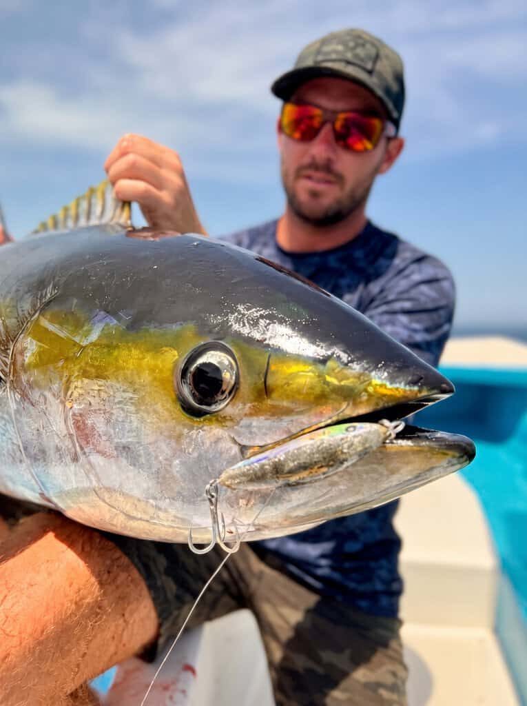 Yellowfin Tuna Closeup Jig