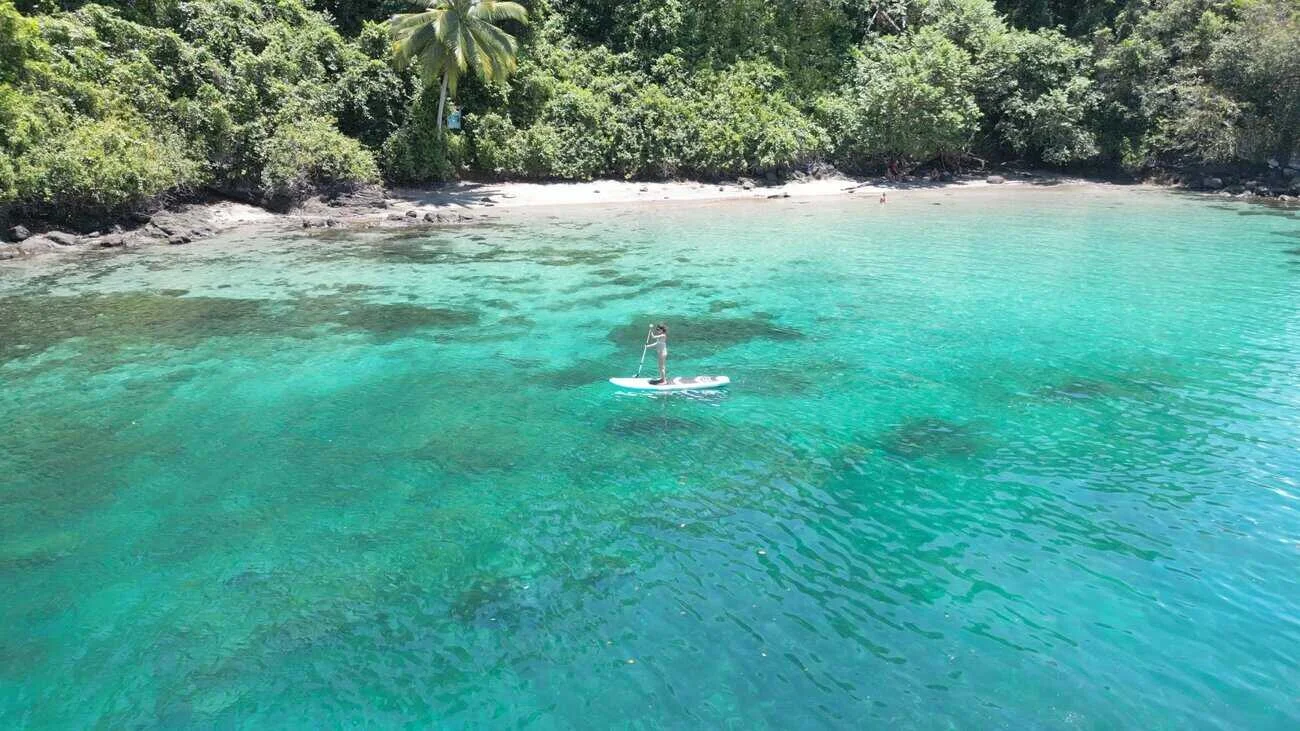Relaxing paddleboarding on a tropical beach with clear turquoise waters and lush green foliage in th.