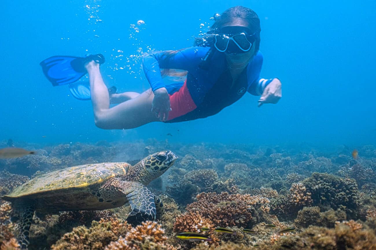 Snokeling in Coiba with Sea Turtles